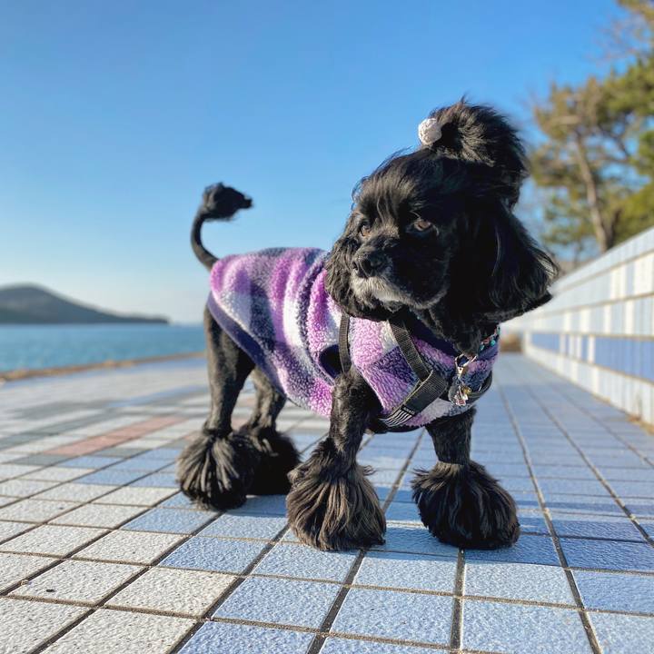 Fdcf6441 a13b 4233 8d6d 179858f40049 1581585963635