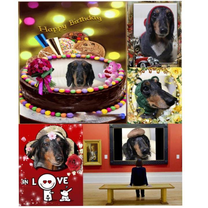 Fdcf64e9 a59a 4c41 a3e0 f52ee919a081 1555074840764