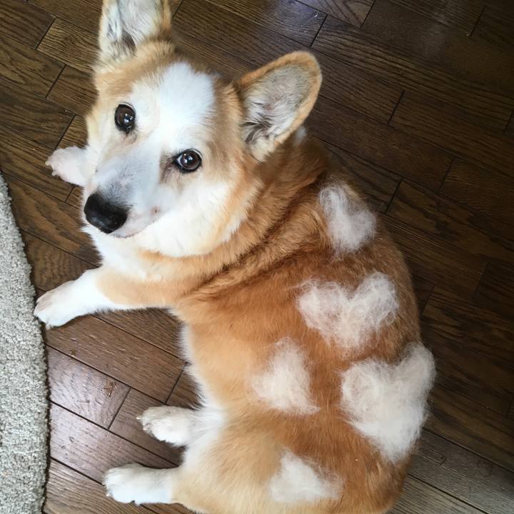 Fdcf6812 dc61 4fe4 ac60 51404223133f 1613267472036