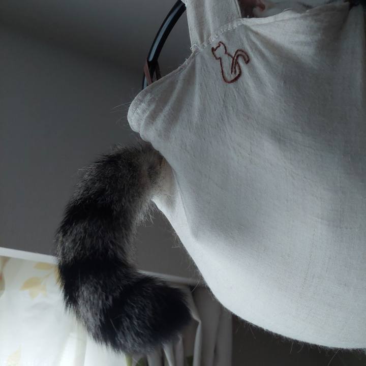 Fdcf700e c55d 4fa8 ae4c 53a489ae2daf 1629409248588