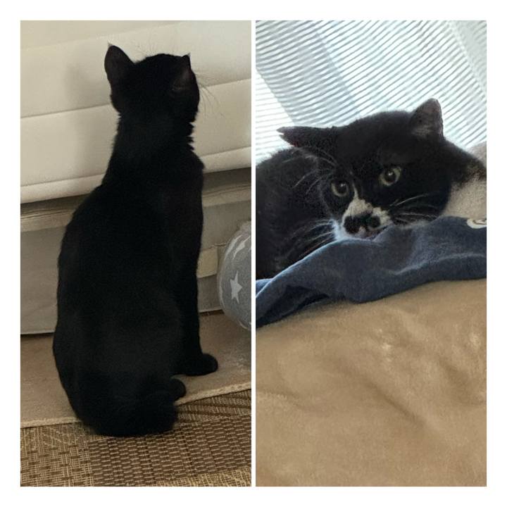 Fdcf759a 04e3 4226 ae37 2c377cfd23be 1728791800048