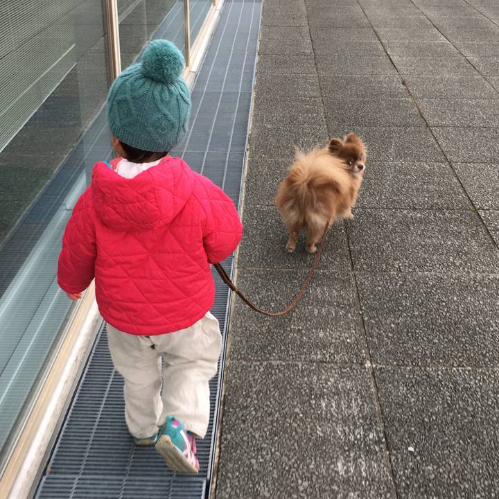 Fdcfb8f0 9402 4db9 b29a 4cc1c8d3fba2 1521810319339