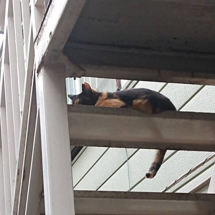 Fdcfc3e5 be98 4b18 b6a6 39e868e34ab2 1662639729366