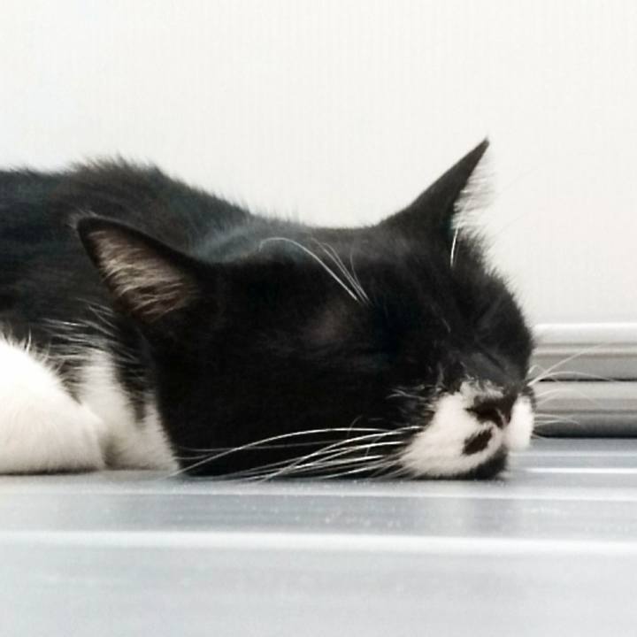 Fdcfcaaa 6d46 45ea bd66 db9f81f0da83 1526908066109