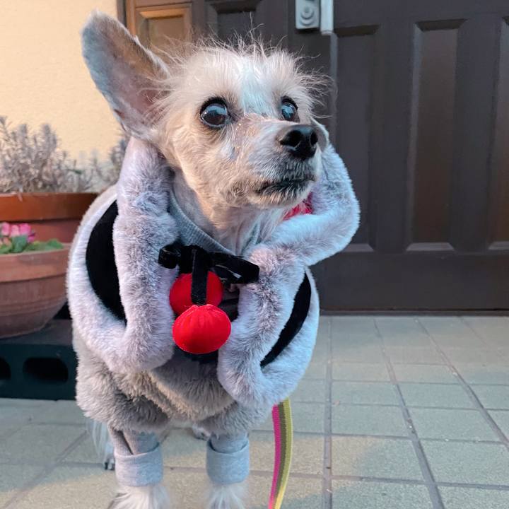 Fdcfcb46 96d6 4b02 9bf3 7a5816ce445a 1770718465297