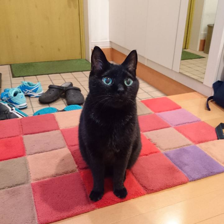 Fdd061ee 34eb 4435 a85b 2e738f329f26 1561847284078