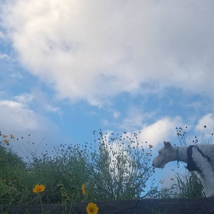 Fdd091d5 d95b 4ae7 87a8 600a2541bb84 1560692931814