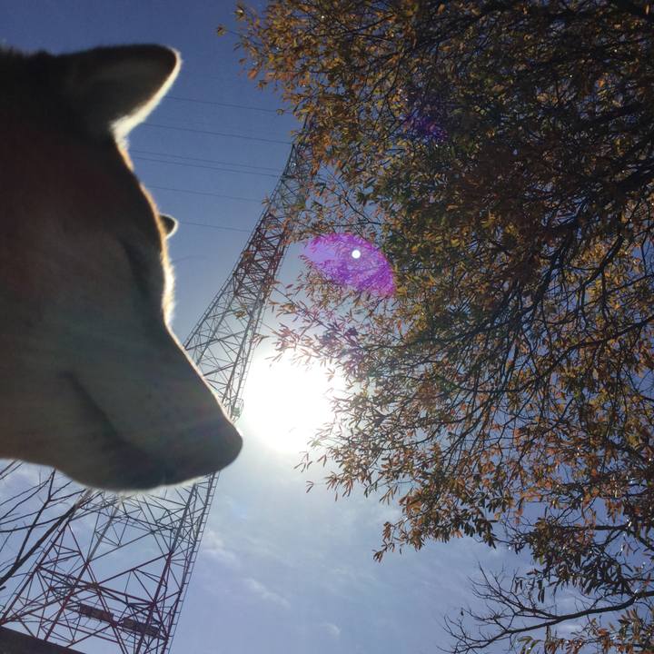 Fdd0ce7a 58c5 44a7 8d6a 556835cd8828 1608276172100