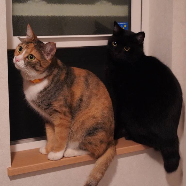 Fdd0ecc9 0d61 440a b587 3eb4babf7cb5 1627131088144