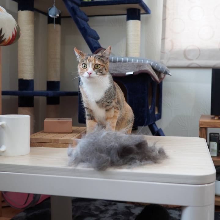 Fdd146c9 4adb 4b42 93f3 d79e874da2a9 1583552480722