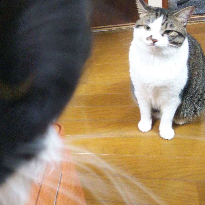 Fdd14b84 e77d 4021 b2a1 b86baad99caa 1662897900130