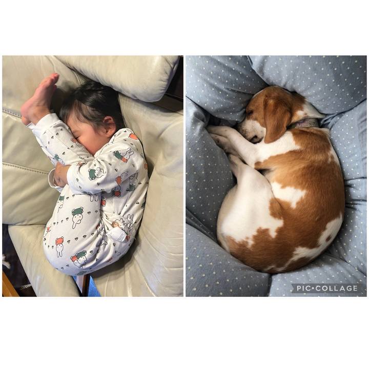 Fdd14e2b 52b3 4aad 8251 9da3cb376820 1679641674410