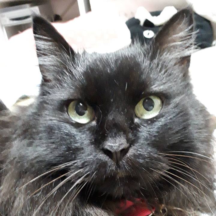 Fdd16981 6ff1 40b4 9780 1f4e689ec2a7 1531397781005