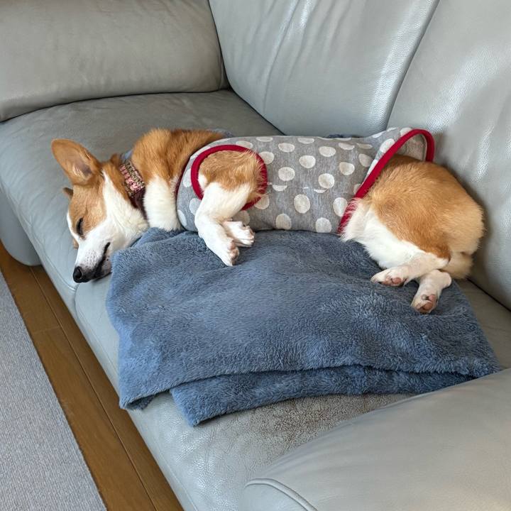 Fdd17495 2766 405f 81bc bb6c0721dadf 1764897544090