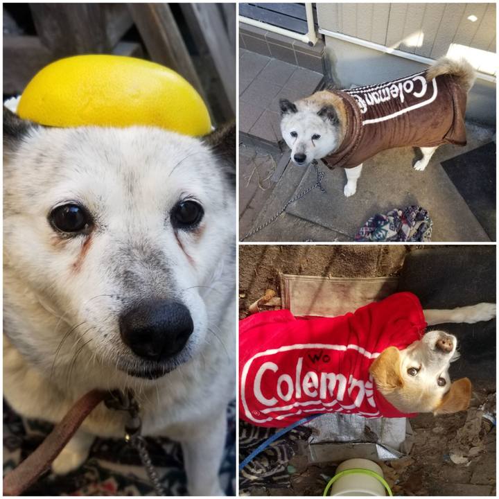 Fdd1a2e5 dde6 4dde ac25 d50ad4ed268c 1758552669469