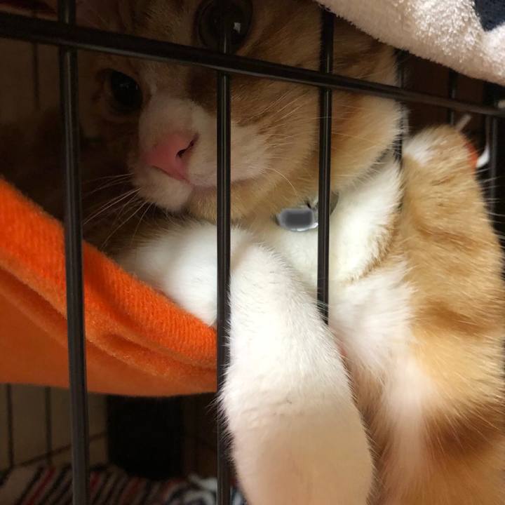 Fdd1c450 6738 46e0 8026 e14d3b3aa914 1549547915195