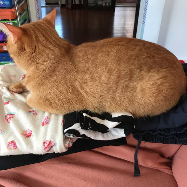 Fdd1d29c 6835 4495 8700 cde5b9ef6cf1 1524638666329