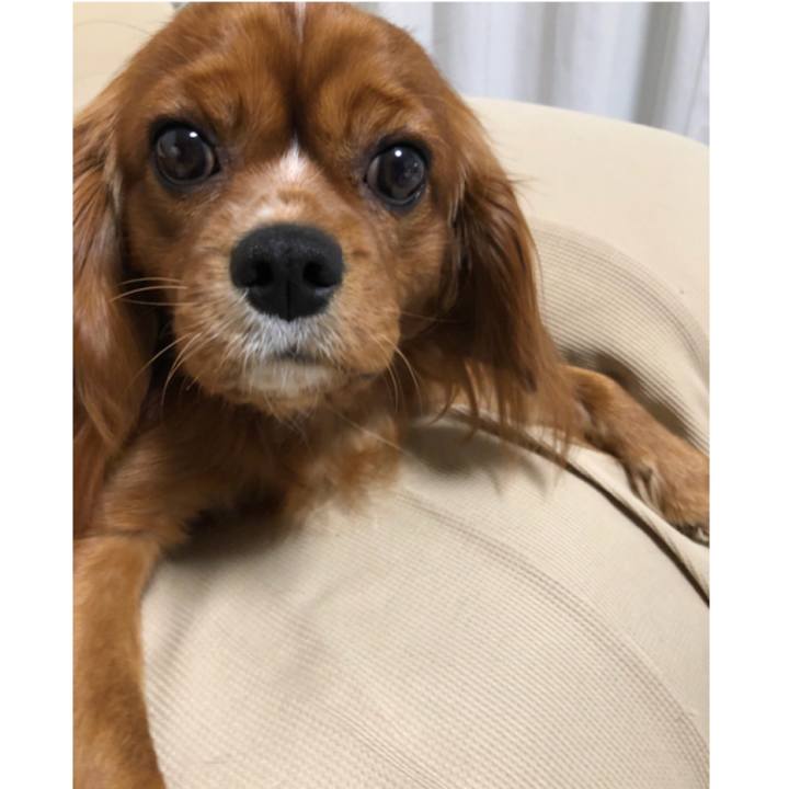 Fdd1eeee dff8 4032 b884 7296e17e0e9a 1544012999640