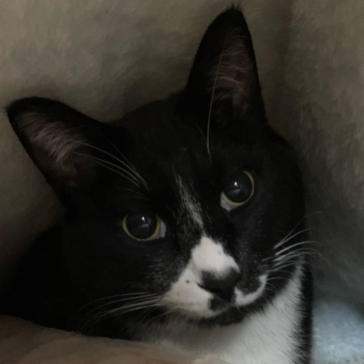 Fdd1f1cb bfb3 4329 a240 040561855cbc 1766460527024