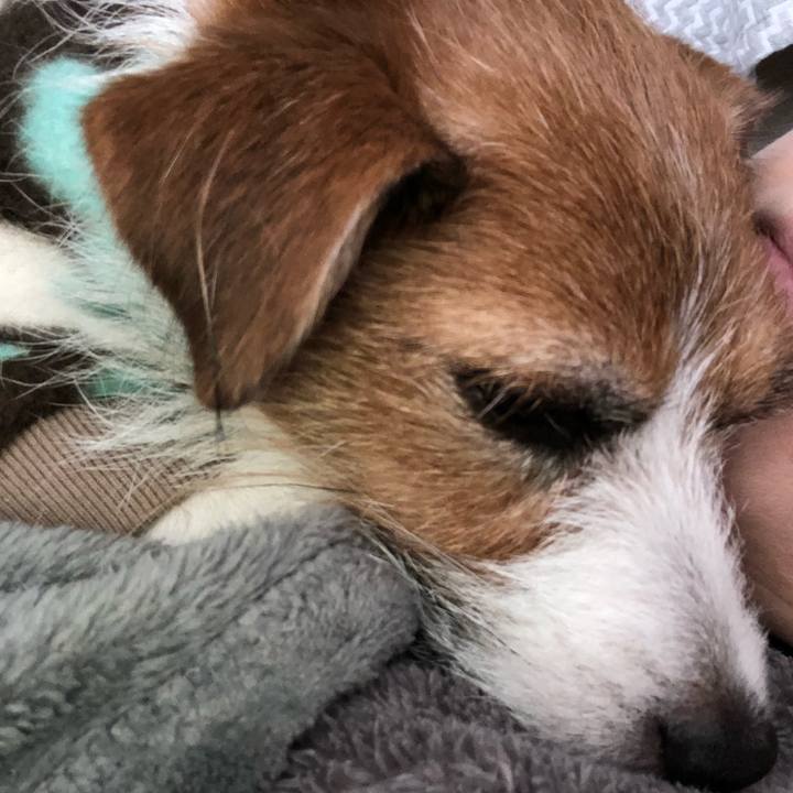 Fdd21b6f c2bc 443d 9ce9 9c7669f1a1dd 1608381553115