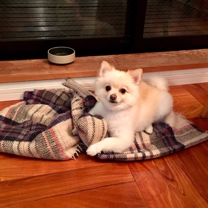 Fdd21eaf 246c 4d35 925e 0676c9918e72 1543052727658