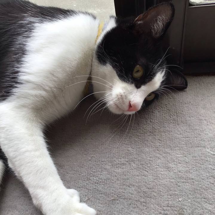 Fdd2c900 1cbd 42dd 8fd2 1905d1628f3f 1652328489954