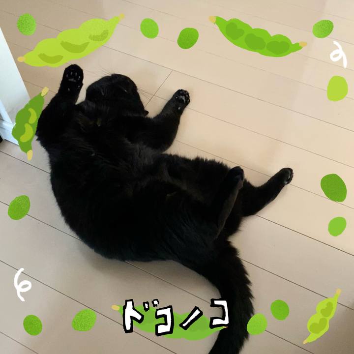 Fdd2de83 6090 4c94 820f a6908b4b6c4b 1720831495883