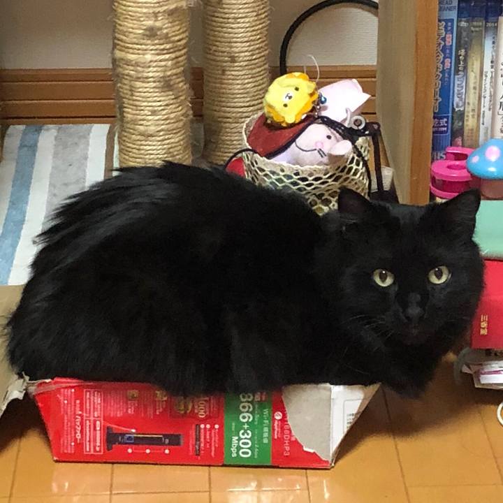 Fdd315da 24ae 45c7 8d7f 29793c3e104e 1525437872375