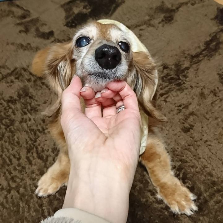 Fdd32fdd ccbc 45ca a23e 5d878f42978a 1515802976143