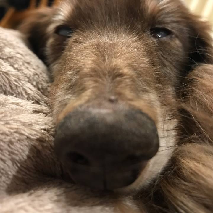 Fdd33cf5 51cc 454c 8b2d cf1bfebca612 1553695994594