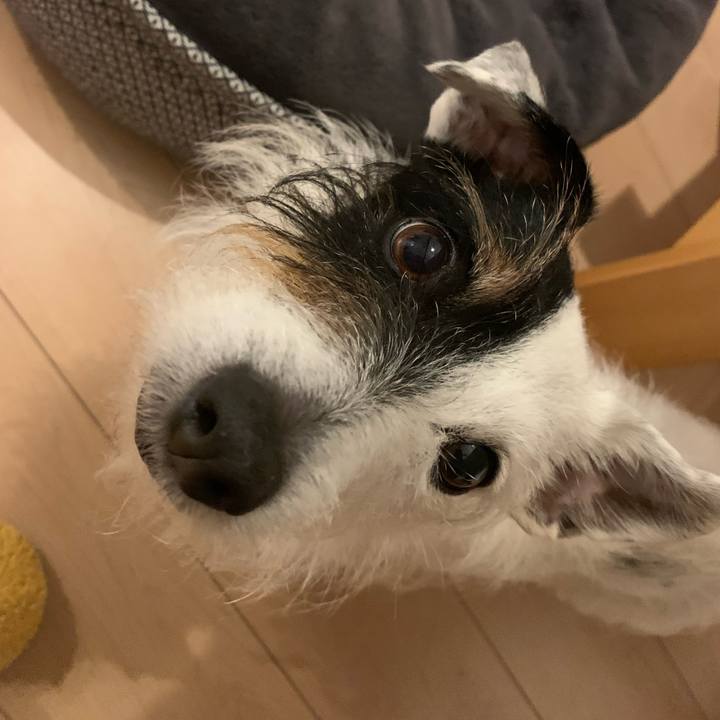 Fdd3de2f 6e83 4599 adbd 89c26bdfe8ef 1678451923196