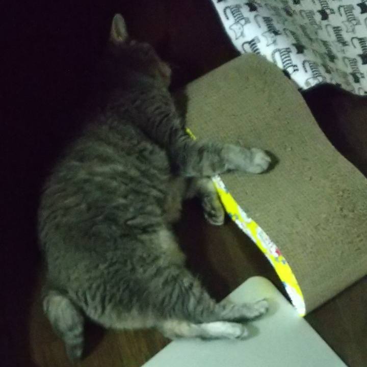 Fdd402aa 72d8 460b 8246 de0c5668358b 1657617248199