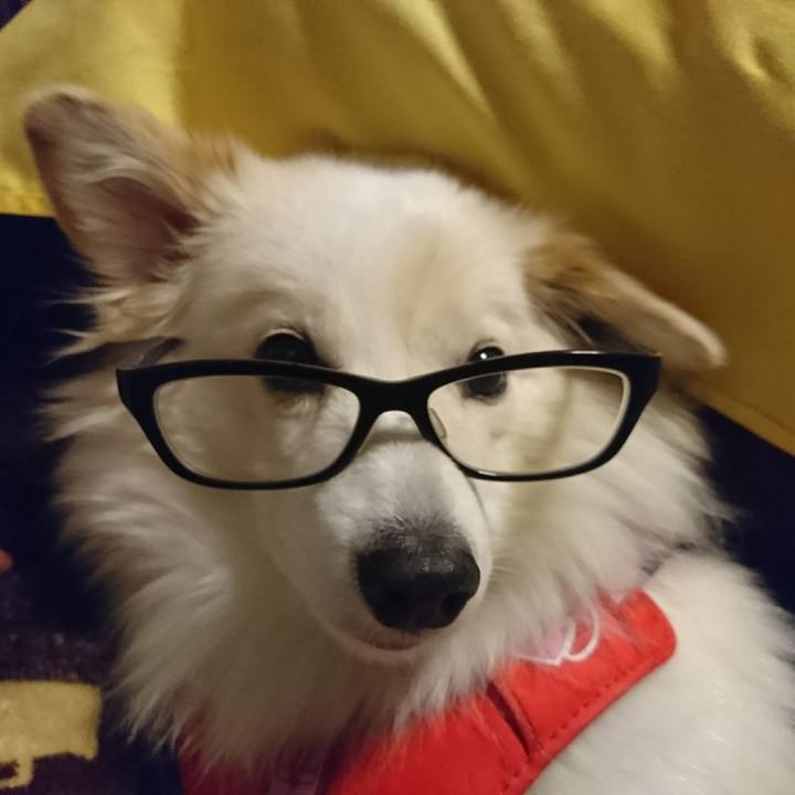 Fdd43059 fd16 49cd be00 7c08a07793ba 1511918078956