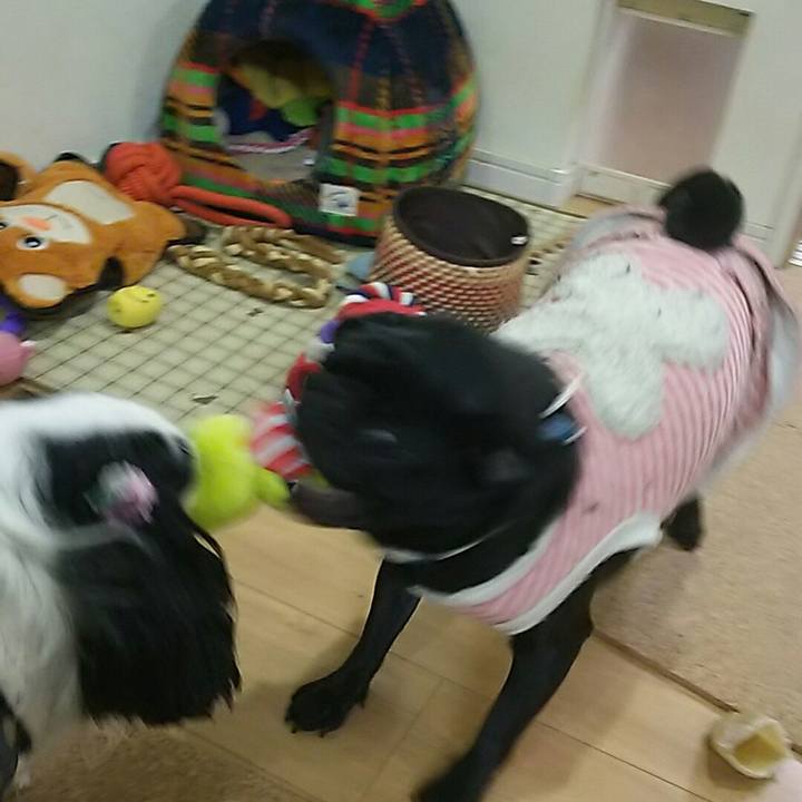 Fdd477d1 78e1 4a1e b520 e4ebfb6e31ce 1543050519971