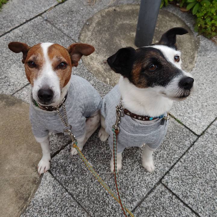 Fdd47b19 5b8e 42ab 94ab 12cd2266e11f 1744499889005