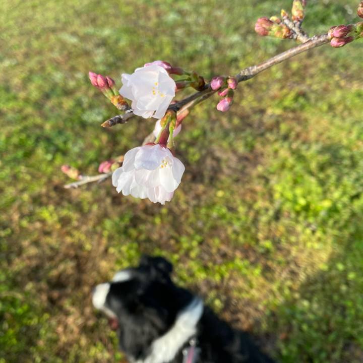 Fdd47bff 7607 424b 9d31 8a0f3a2362d4 1615942637424