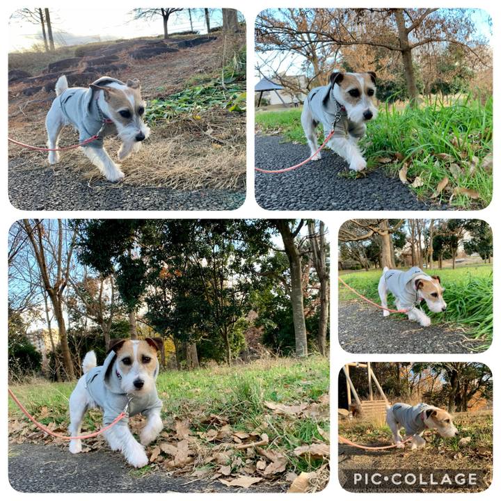 Fdd48813 07a4 487e b01b 0dd75e7214f0 1608129734924