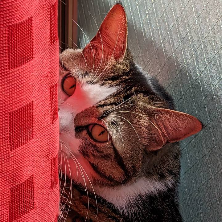 Fdd496af f583 4c7f a471 c68c356a85b4 1703901938176