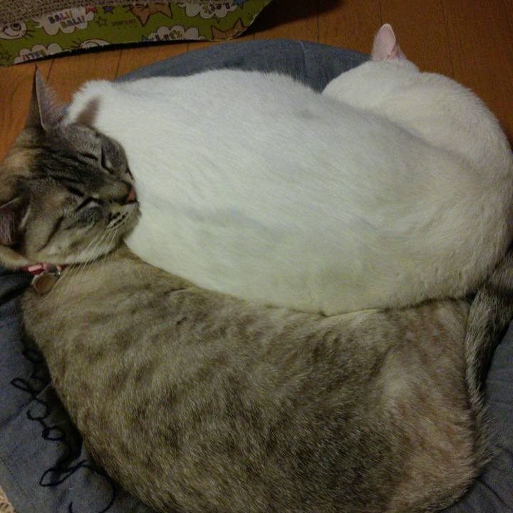 Fdd4998b 9f79 449b 9dee 54f0d8d3052e 1520426654647