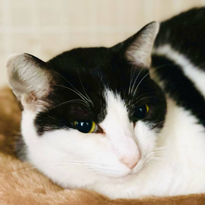 Fdd4d11e 679b 42cb b73c cd1d0ea8a150 1640999362334