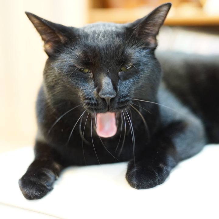 Fdd4ed17 31b1 47fc ada7 18f43fbb1501 1541630934301