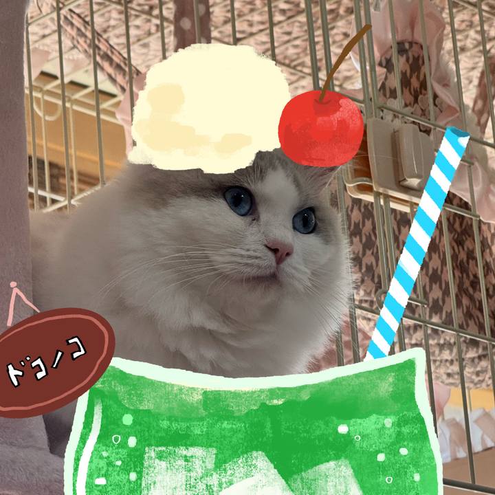 Fdd4f984 7168 49e1 b7cb 042b6f11aac5 1755490272962