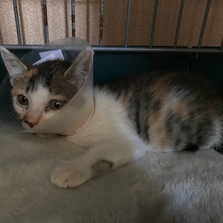 Fdd52458 d500 433c 806b b188a421ce9b 1528937786352