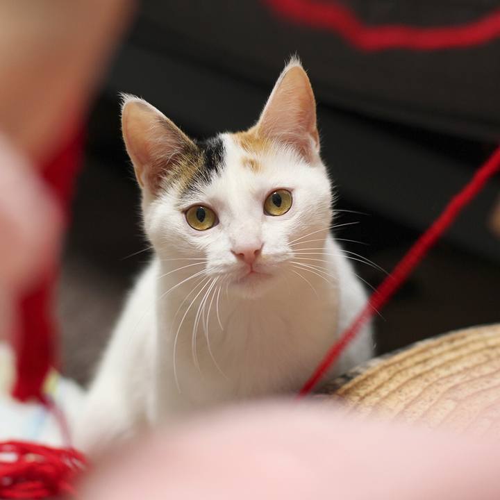 Fdd54f1a 9b0d 4062 9d99 ec25a0698354 1553168321592