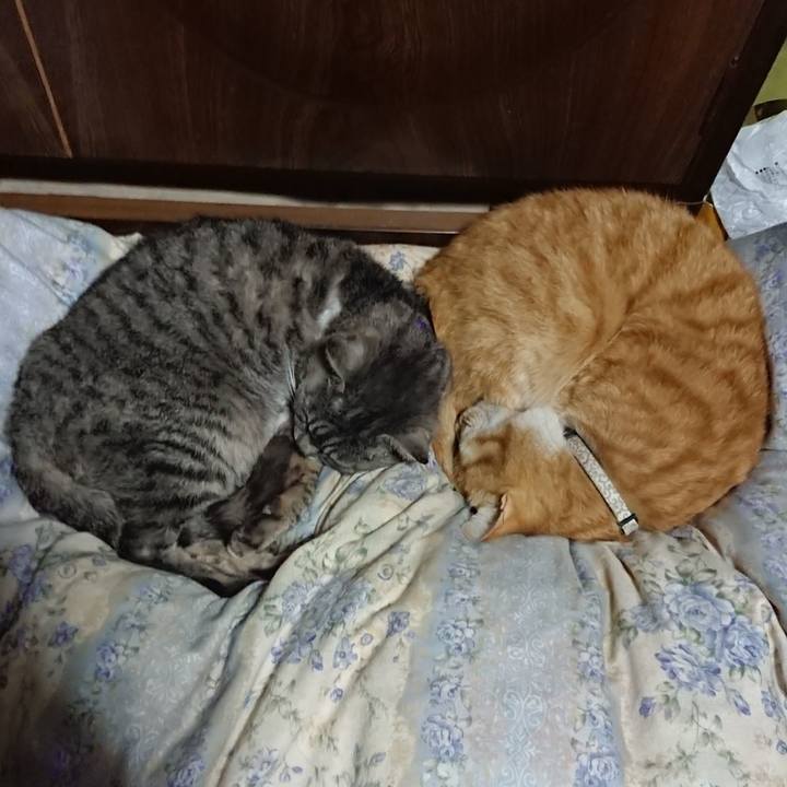 Fdd5526b 720f 4978 8caf 49cc6e8947ad 1589890024299