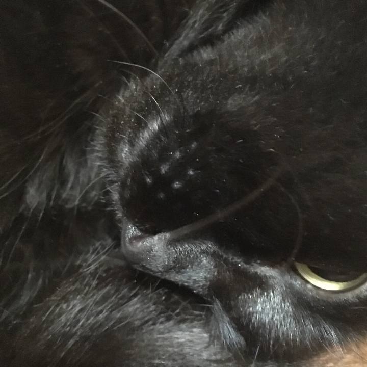 Fdd57015 a0d2 4236 bf88 1c0f72705469 1569146748280