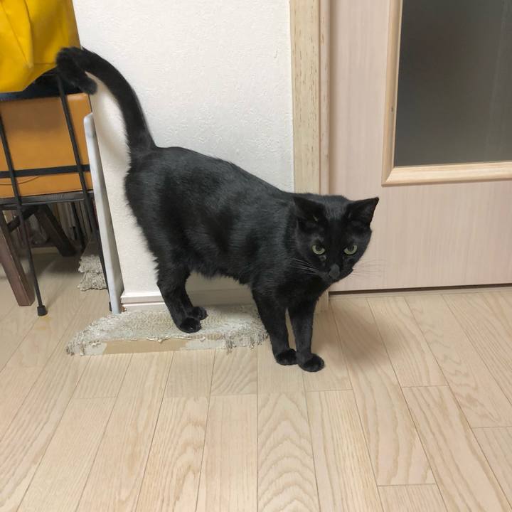 Fdd57c08 4d4a 43b4 a012 57bb6efd12f8 1632570974636