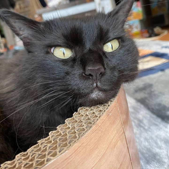 Fdd57d25 4e81 48f0 859f f68c6cfb4468 1582954477237