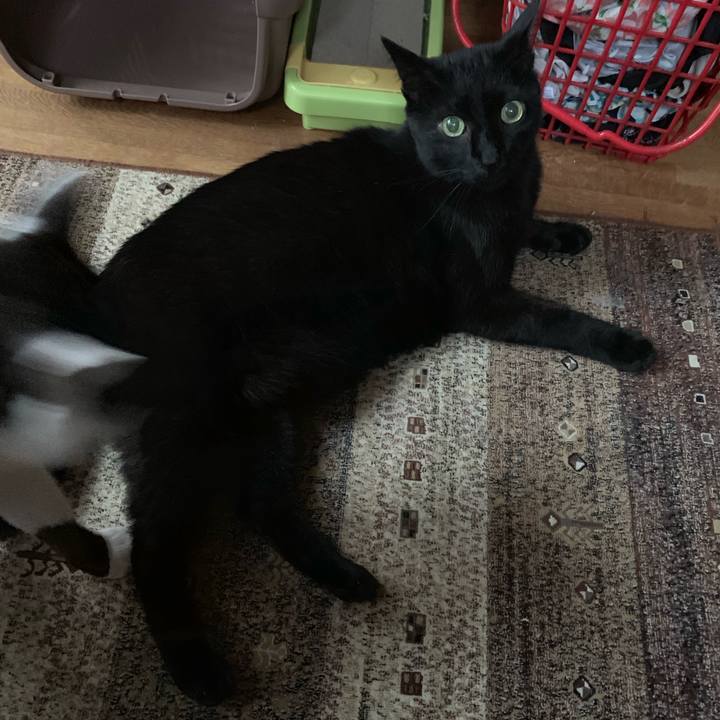 Fdd5de03 3b37 453d 9c90 5b748c888e16 1559003878381