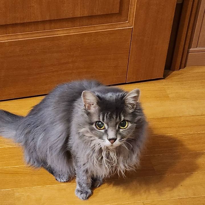 Fdd5e0c0 11ac 420c 9b43 6a19c8166cb0 1713268669223